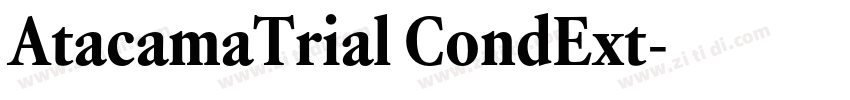 AtacamaTrial CondExt字体转换